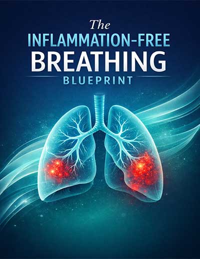 The Inflammation-Free Breathing Blueprint bonus guide cover